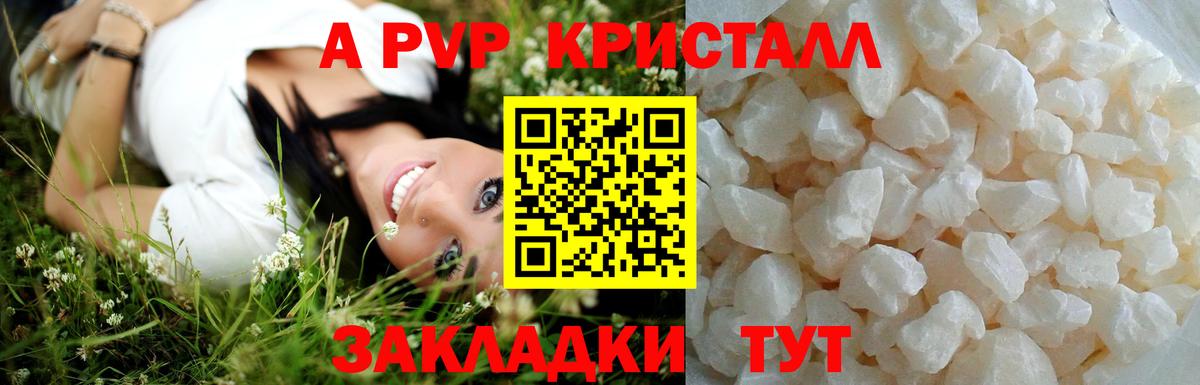 Альфа ПВП СК КРИС  Alfa_PVP  Дзержинский  Alfa_PVP СК КРИС  Альфа ПВП Соль  Вход с VPN 