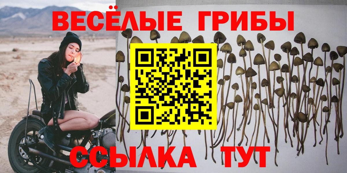 Галлюциногенные грибы Magic Shrooms  Псилоцибиновые грибы GOLDEN TEACHER  Дзержинский  Вход с VPN 