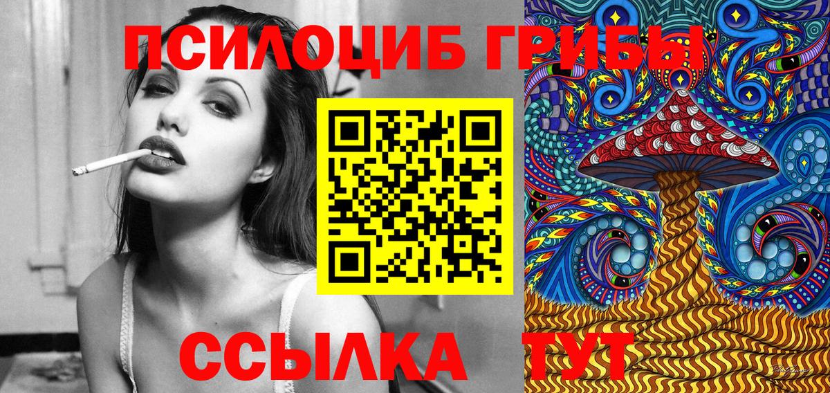 Псилоцибиновые грибы мицелий Дзержинский